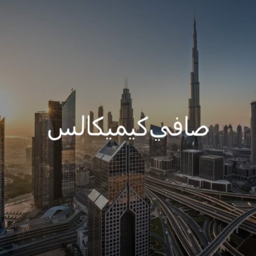 WhatsApp Image 2026-02-11 at 7.49.54 PM